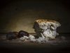 Археолози откриха най-стария хляб - изпечен бил преди около 14 500 години