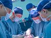 Китайски учени трансплантираха успешно за първи път в света черен дроб от прасе на човек