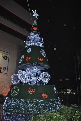 Кметът на Русе Пламен Стоилов запали на 2 декември светлините на 13-метровата коледна елха. Изкуственото дърво е с диаметър 6 м в основата и бе сглобено от 10 души. Звездата на върха е с размери 1,5 м. Елхата е от алуминиеви профили.