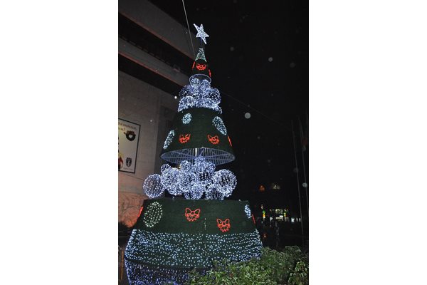Кметът на Русе Пламен Стоилов запали на 2 декември светлините на 13-метровата коледна елха. Изкуственото дърво е с диаметър 6 м в основата и бе сглобено от 10 души. Звездата на върха е с размери 1,5 м. Елхата е от алуминиеви профили.