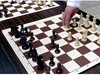 Българската федерация по шахмат обжалва изключването си