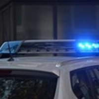 Две коли откраднати в Пиринско, едната открита запалена