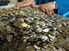 Млад мъж от Велико Търново плати годишната си винетка с жълти стотинки, съобщава 