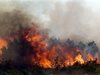 Обявиха екстремален индекс за опасност от пожари в 8 области