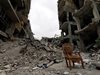 Русия бомбардира бойци, отговорни за атаката с хлор в Алепо