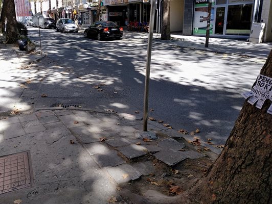 Покрай изграждането на новите тротоари на улицата ще бъдат премахнати старите повредени дървета.