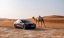 1093 коли Tesla внесени у нас през 2024 г., 57 ферарита и 32 ролс-ройса