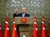 Австрия иска прекратяване на преговорите за членството на Турция в ЕС