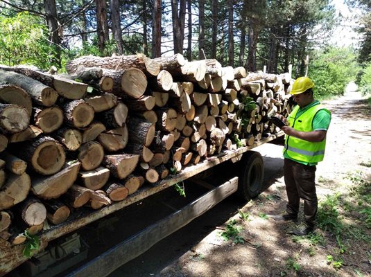 Хората да се снабдяват само със законно придобити дърва, съветва министърът.

СНИМКА: “24 ЧАСА”