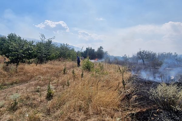 Умишлен палеж на гуми и пластмасови туби покрай новия път между Петрич и с. Беласица доведе по голям пожар днес следобед. СНИМКИ: Община Петрич