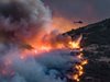 Евакуират 1000 души заради горските пожари в Нова Зеландия (Снимки)