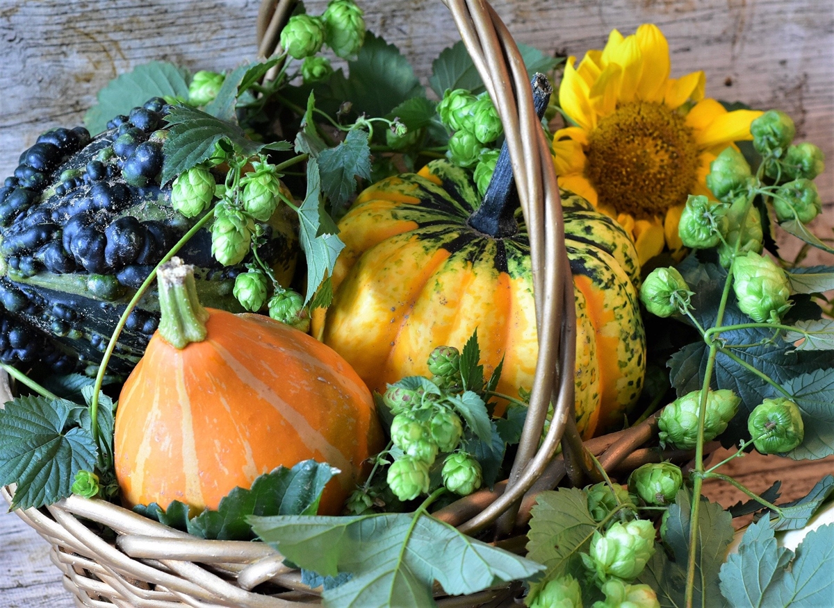 Тиква, сливи и круши - топ 3 на есенните храни