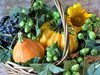 Тиква, сливи и круши - топ 3 на есенните храни