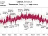 През 2016 година температурата в София била с 1,1° над нормата