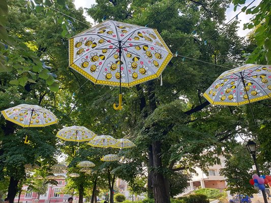 Голяма част от пъстрите чадъри вече липсват

Снимка: Община Свищов
