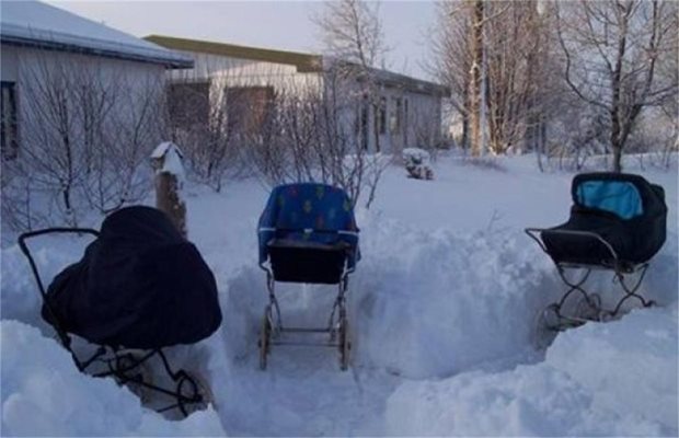 Каляват бебета с кучи студ