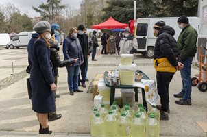 Сачева обеща повече пари на пчеларите