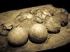 Уникални фосили от плезиозавър бяха открити в Колумбия