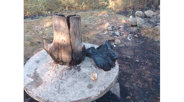 Неизгасено барбекю запали гората край Невестино.