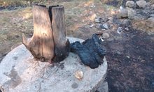 Барбекю подпали гората край Невестино (видео)