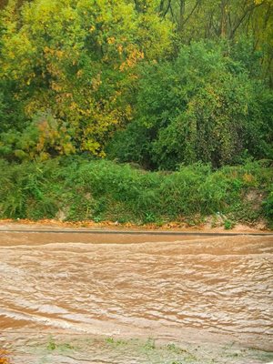 Водата е кална