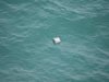 Вертолет „Пантер“ от ВМС се отзова на сигнал за мина в морето, откри пластмасова туба