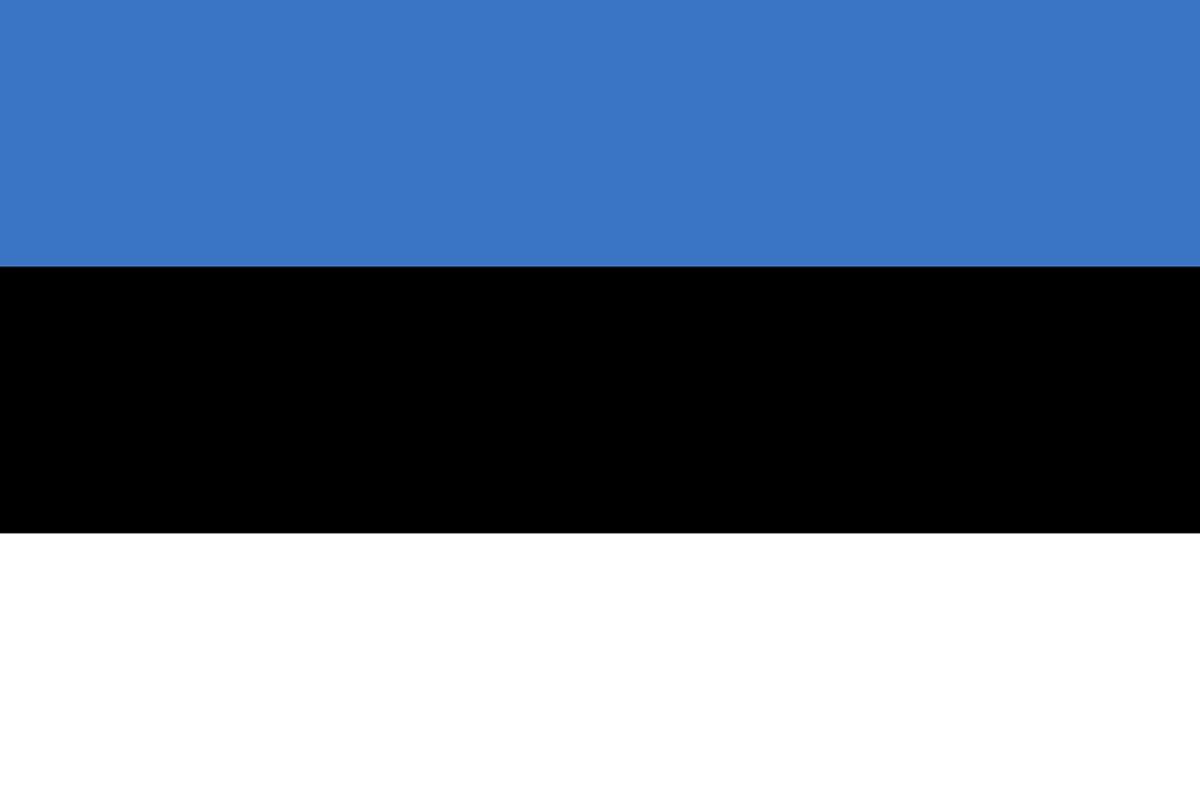 Естония се присъедини към Германия в програмата за доставка на боеприпаси за Украйна