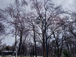 Подмяната на уличното осветление в Пловдив ще продължи.