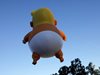 Надуваемият Тръмп в пелени полетя над Лос Анджелис (Снимки)