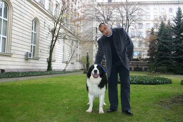 Бойко Борисов с овчарското куче Йорго - едно от състезателните му кучета, което се е представяло на изложения в чужбина.