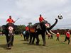 Слонове играха футбол в кампания против незаконните залагания (Видео)