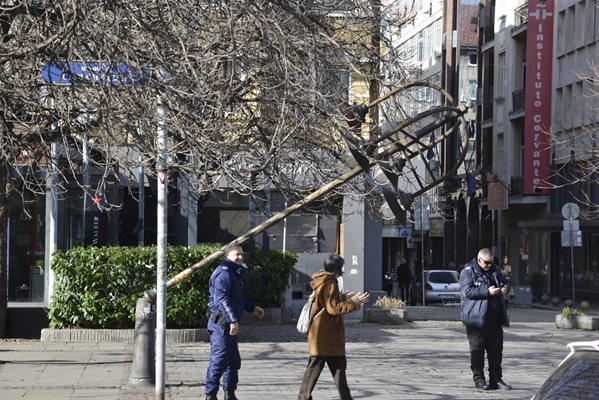 Силният вятър пречупи лампа в София вчера.

СНИМКА: ЙОРДАН СИМЕОНОВ