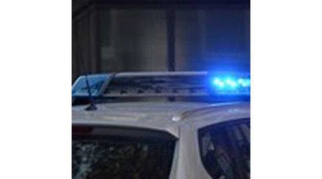 Две коли откраднати в Пиринско, едната открита запалена
