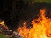 90 декара борова гора изгоряха при пожар край село Ловец 
