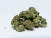 Задържаха 5,5 тона марихуана от Албания в Италия и Гърция
