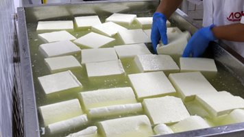 Държавна компания видя 80% надценка при мляко, сирене и кашкавал