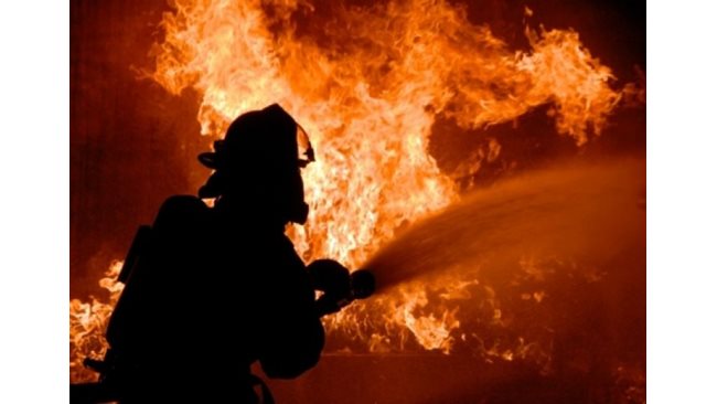 Подпалени гуми предизвикаха голям пожар край Варна - 24chasa.bg