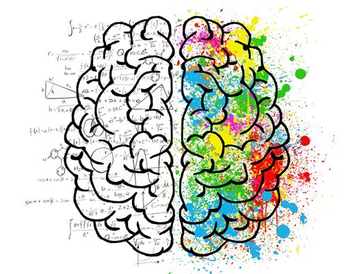 Областта на мозъка, свързана с математика, е различна от тази, която отговаря за езика.