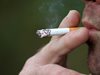СЗО: 1,3 млн. умират всяка година от пасивно пушене