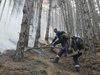 Започна възстановяването на изгорелите гори край Стара Кресна