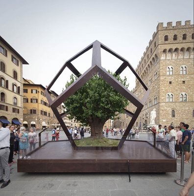 Дърво от черница, затворено в додекаедър, пред Палацо Векио във Флоренция  СНИМКИ: ФЕЙСБУК