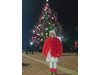 Грейнаха светлините на най-голямото живо Коледно дърво в България