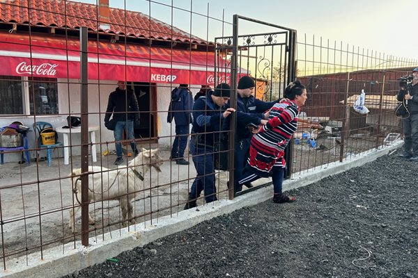 Полицаи извеждат жена, произвеждала т.н. друсан чай.