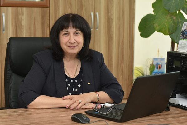Димитранка Каменова, кмет на Берковица