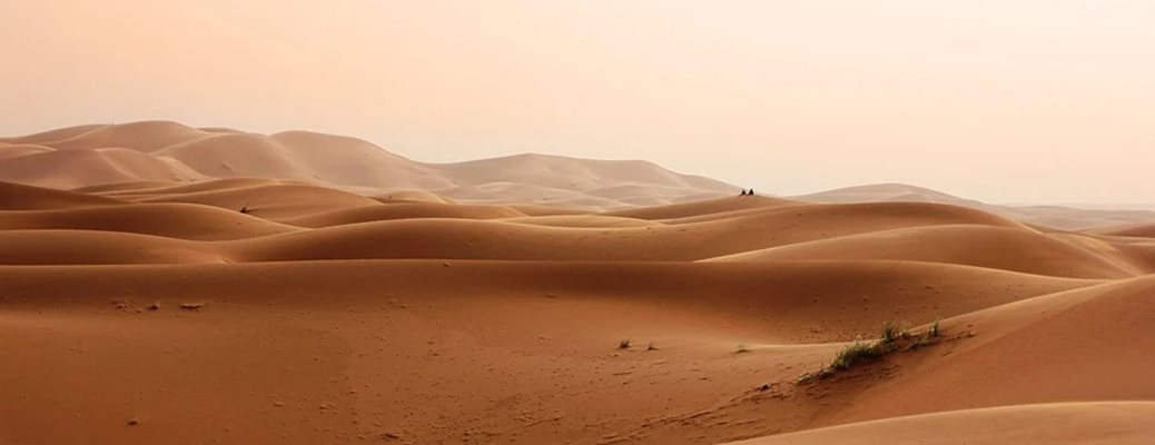 Кадър от Сахара: Pixabay