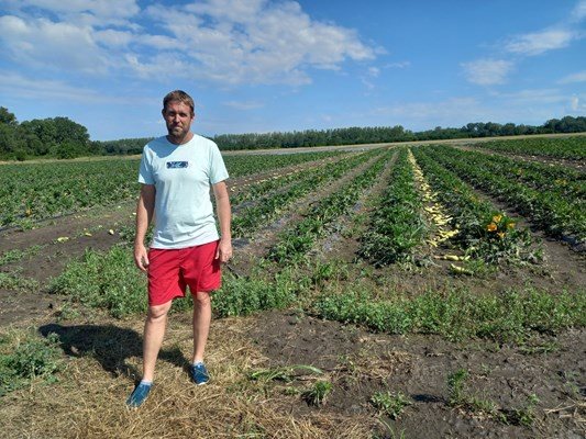 Фермерът Иван Василев, чийто реколта от тикви бе унищожена ще получи компенсация за понесените щети.

СНИМКА:Архив.