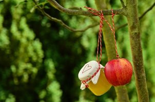 Нестандартни рецепти за компот от ябълки