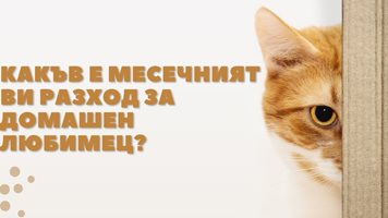 Анкета: Какъв е месечният ви разход за домашен любимец? (Видео)