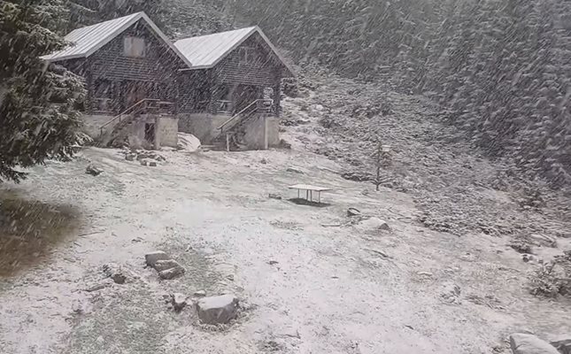 Вадете шейните! Сняг се сипе на парцали в Пирин над Сандански (Видео)