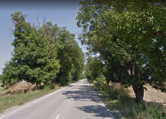 Пътят между селата Оризари и Кадиево Снимка: Google street view